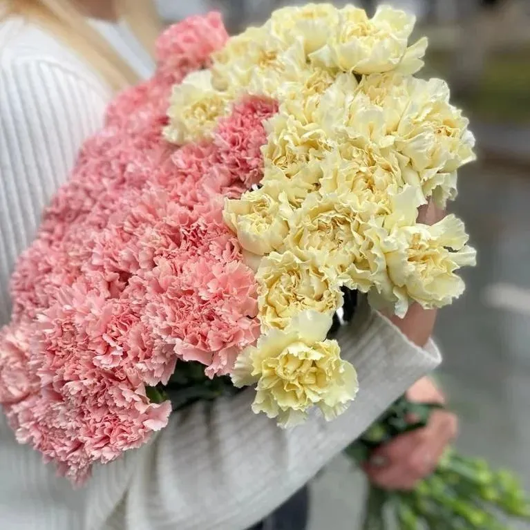 photo1700115825 (2).jpg