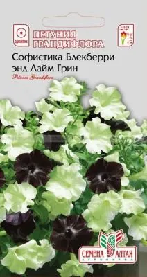 Петуния Софистика Блекберри (цветной пакет) 6шт; Семена Алтая фото в интернет-магазине Флоранж