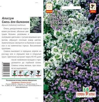 Алиссум Смесь для балконов (цветной пакет) 0,2г; Семена Алтая