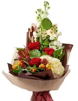 Букет Мой защитник , состав Антуриум  Роза Гортензия Гвоздика Хризантема кустовая, цвет букета Мультицвет, подходит Мужчине