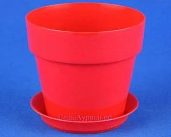Горшок пластиковый Протея, красный, 11,5х10см, 0,6/0,7л; Россия