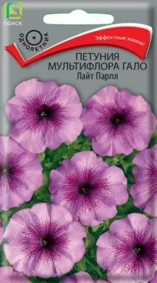 Петуния мультифлора Гало Лайт Парпл (цветной пакет) 10шт; Поиск фото в интернет-магазине Флоранж