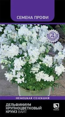Дельфиниум крупноцветковый Круиз Вайт (цветной пакет) 10шт; Поиск фото в интернет-магазине Флоранж