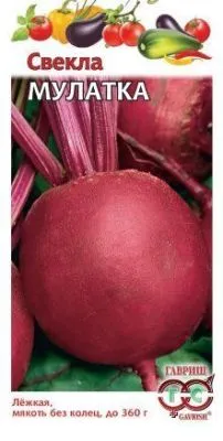 Свекла Мулатка (цветной пакет) 2г; Гавриш фото в интернет-магазине Флоранж