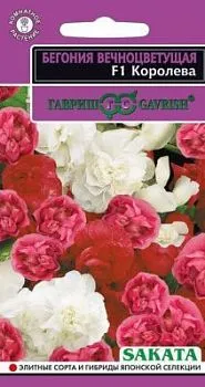 Бегония Королева F1, вечноцв. махровая смесь, гранул  (цветной пакет, гранулы, пробирка) 4шт; Гавриш