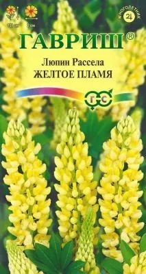 Люпин многолетний Рассела (цветной пакет) 0,5г; Гавриш фото в интернет-магазине Флоранж