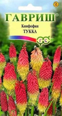 Книфофия Тукка (цветной пакет) 0,05г; Гавриш фото в интернет-магазине Флоранж