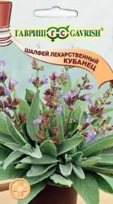 Шалфей лекарственный Кубанец (цветной пакет) 0,3г; Гавриш фото в интернет-магазине Флоранж