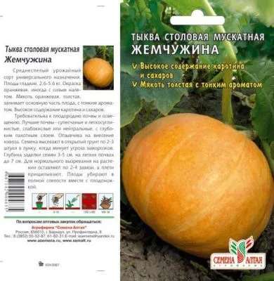 Тыква Витаминная (цветной пакет) 2г; Семена Алтая фото в интернет-магазине Флоранж