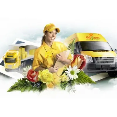 Нижегородка, Карпово, Нагаево, Дмитриевка фото в интернет-магазине Флоранж