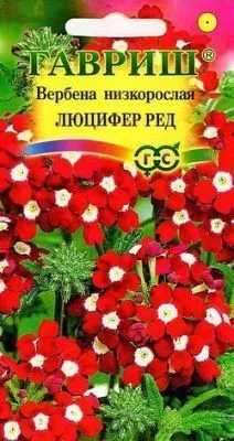 Вербена Люцифер (цветной пакет) 0,05г; Гавриш фото в интернет-магазине Флоранж