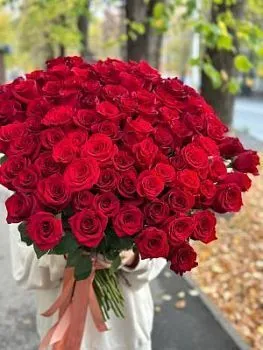 Роза бордовая 60 см  , состав Роза, цвет букета Бордовый, подходит 