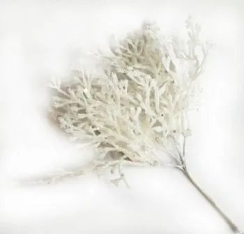 Ветка Туи с глиттером на вставке, H20см, белый