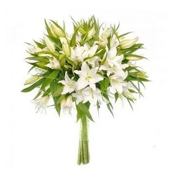 Лилия белая  фото вживую в руках, состав, цветовая гамма 