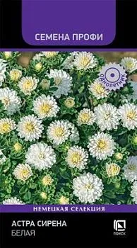 Астра Сирена Белая (Семена Профи)  (цветной пакет) 0,05г; Поиск