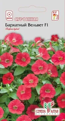 Сурфиния Бархатный Вельвет (цветной пакет) 5шт; Семена Алтая фото в интернет-магазине Флоранж