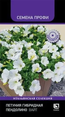 Петуния гибридная Пендолино Вайт (цветной пакет) 5шт; Поиск фото в интернет-магазине Флоранж