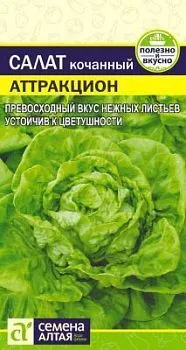  Салат кочанный Аттракцион (цветной пакет) 0,5г; Семена Алтая