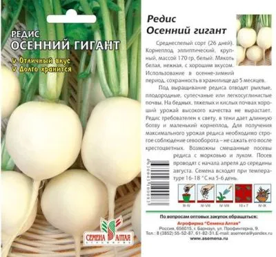 Редис Осенний Гигант (цветной пакет) 2г; Семена Алтая фото в интернет-магазине Флоранж
