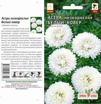 Астра Белый Ковер (цветной пакет) 0,1г; Семена Алтая