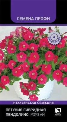 Петуния гибридная Пендолино Роуз Ай (цветной пакет) 5шт; Поиск фото в интернет-магазине Флоранж