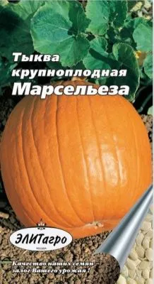 Тыква Марсельеза (цветной пакет) 1г; Аэлита фото в интернет-магазине Флоранж