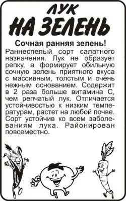 Лук на зелень (белый пакет) 0,5г; Семена Алтая фото в интернет-магазине Флоранж