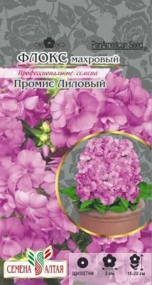 Флокс Промис (цветной пакет) 5шт.; Семена Алтая фото в интернет-магазине Флоранж