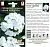 Гвоздика турецкая Белая Королева (цветной пакет) 0,1г; Семена Алтая
