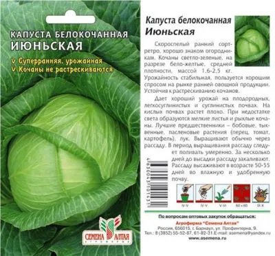 Капуста белокочанная Июньская (цветной пакет) 0,5г; Семена Алтая фото в интернет-магазине Флоранж