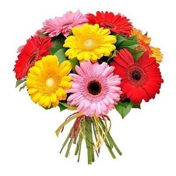 Гербера микс  фото вживую в руках, состав, цветовая гамма 