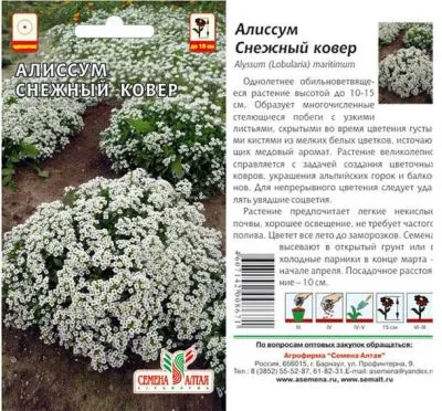 Алиссум Снежный Ковер (цветной пакет) 0,1г; Семена Алтая фото в интернет-магазине Флоранж