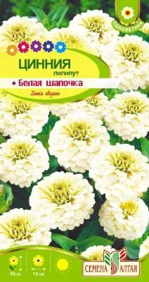 Цинния Лилипут Белая Шапочка (цветной пакет) 0,3г; Семена Алтая фото в интернет-магазине Флоранж