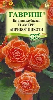 Бегония Амери априкот пикоти F1 (цветной пакет, гранулы, пробирка) 4шт; Гавриш