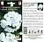 Гвоздика турецкая Белая Королева (цветной пакет) 0,1г; Семена Алтая