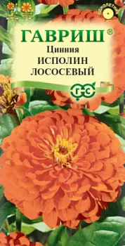 Цинния Исполин лососевый (цветной пакет) 0,3г; Гавриш