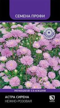 Астра Сирена Нежно-розовая (Семена Профи)  (цветной пакет) 0,05г; Поиск