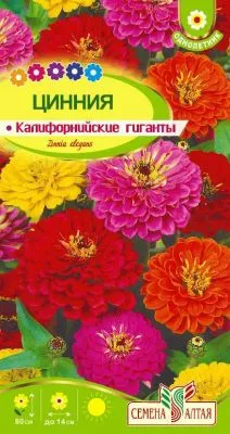 Цинния Калифорнийские гиганты (цветной пакет) 0,2г; Семена Алтая фото в интернет-магазине Флоранж