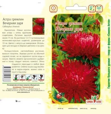 Астра Вечерняя Заря (цветной пакет) 0,2г; Семена Алтая фото в интернет-магазине Флоранж