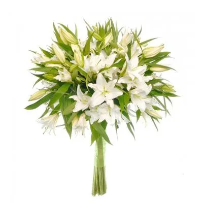 Лилия белая  фото в интернет-магазине Флоранж