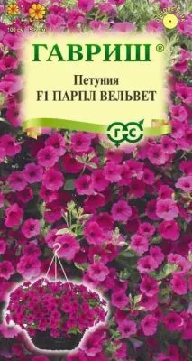 Петуния ампельная Парпл Вельвет (цветной пакет, пробирка) 4шт; Гавриш фото в интернет-магазине Флоранж