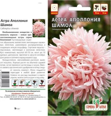 Астра Аполлония Шамоа (цветной пакет) 0,2г; розовая, Семена Алтая фото в интернет-магазине Флоранж