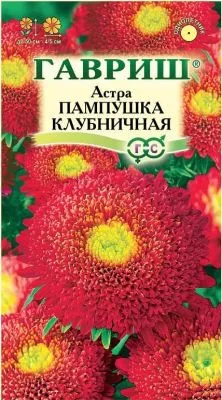 Астра Пампушка клубничная (цветной пакет) 0,3г; Гавриш фото в интернет-магазине Флоранж