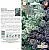 Алиссум Смесь для балконов (цветной пакет) 0,2г; Семена Алтая