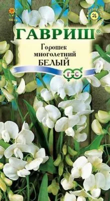 Горошек многолетний Белый (цветной пакет) 1г; Гавриш фото в интернет-магазине Флоранж
