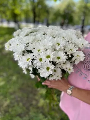 Хризантема кустовая белая Кеннеди фото в интернет-магазине Флоранж