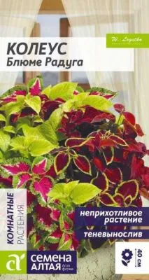 Колеус Блюме Радуга смесь (цветной пакет) 0,03г; Семена Алтая фото в интернет-магазине Флоранж