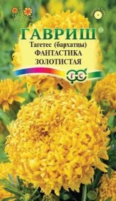 Бархатцы Фантастика золотистая (цветной пакет) 0,1г; Гавриш фото в интернет-магазине Флоранж