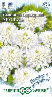 Скабиоза Хрустальная пурпурная махр (цветной пакет) 0,2г; Гавриш фото в интернет-магазине Флоранж