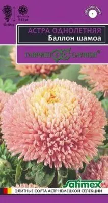 Астра Баллон шамоа (цветной пакет) 0,05г; Гавриш фото в интернет-магазине Флоранж